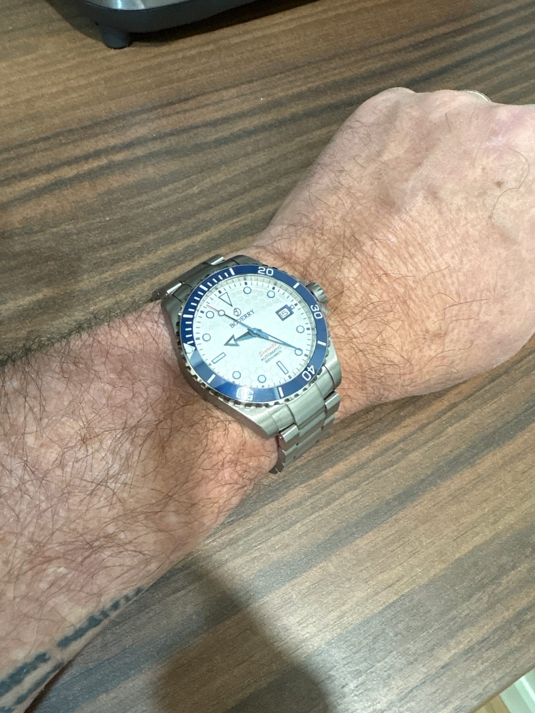 Customer photo review of SEATURTLE.OCEAN(TITANIUM) - Automatic Titanium Diver Watch | Arctic/Ti-bracelet
