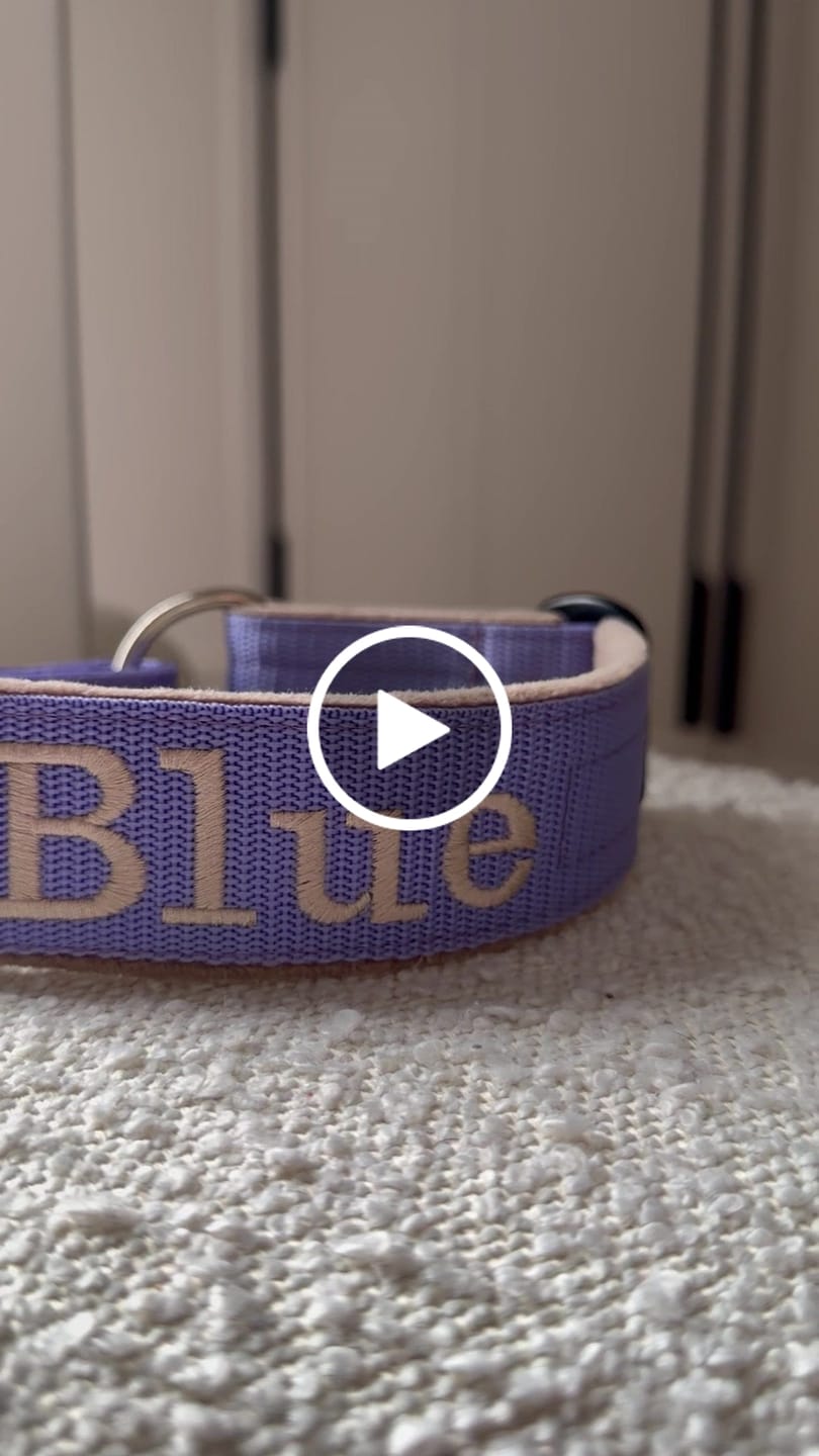 Customer video review of Półzaciskowa obroża dla psa z imieniem - Personal Martingale