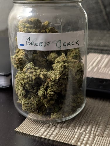 Customer photo review of Green Crack - Bulk - Sativa