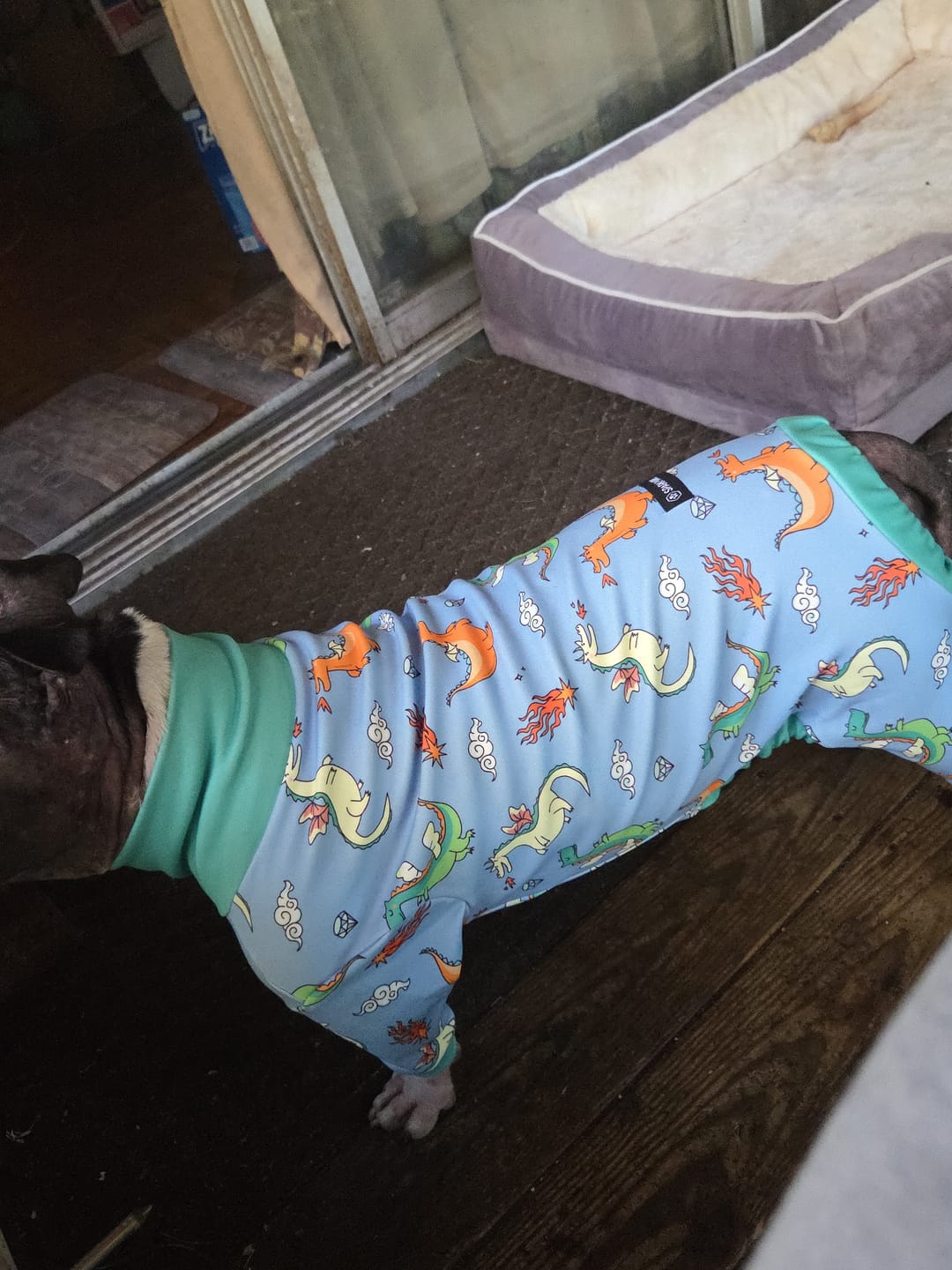 Customer photo review of Dog Pajama Prints