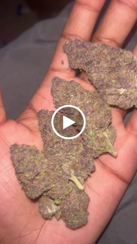 Customer video review of Tropicana Cherry THCA Flower