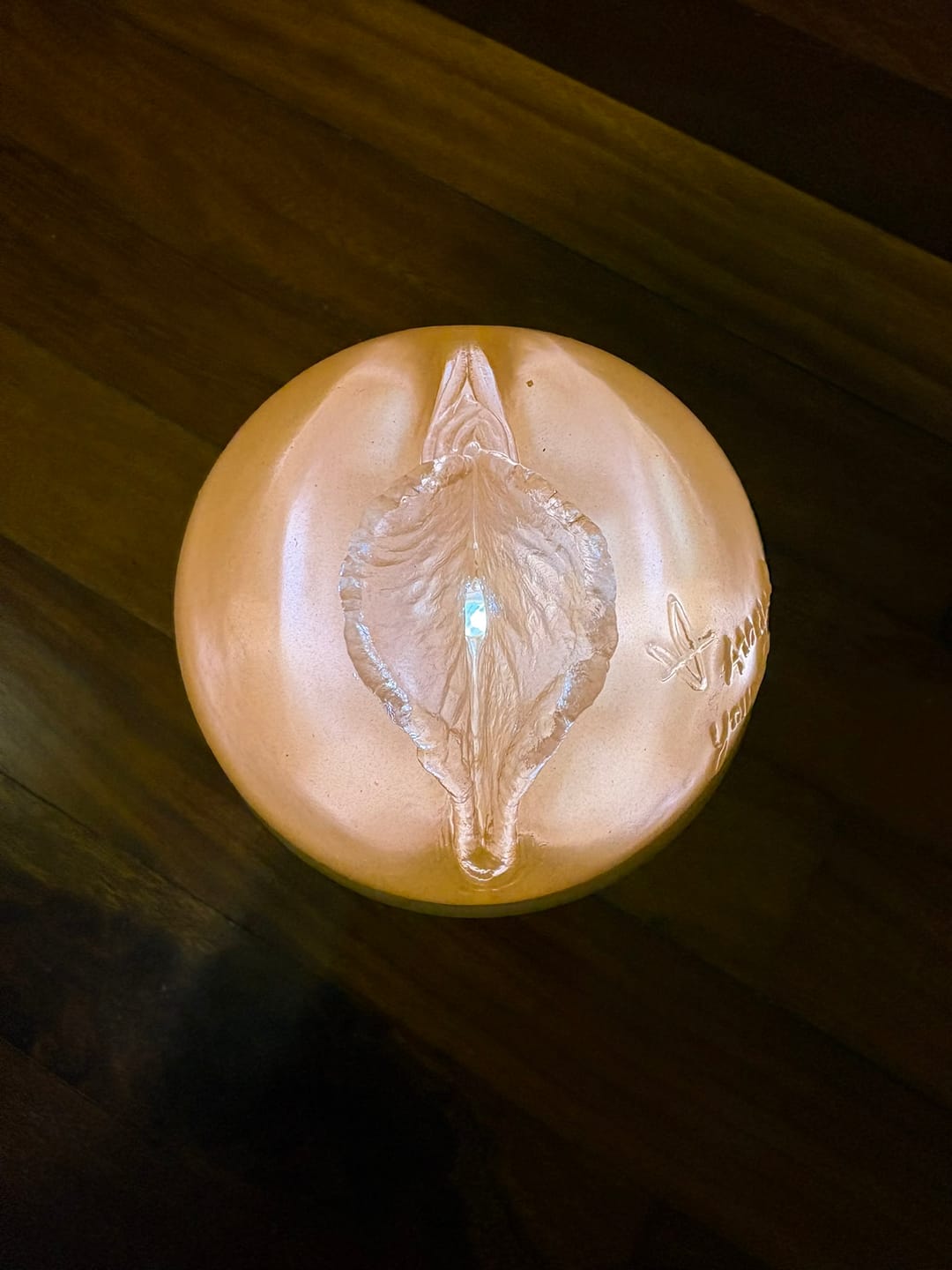 Customer photo review of Sky Bri Birthday Cake Edition Fleshlight