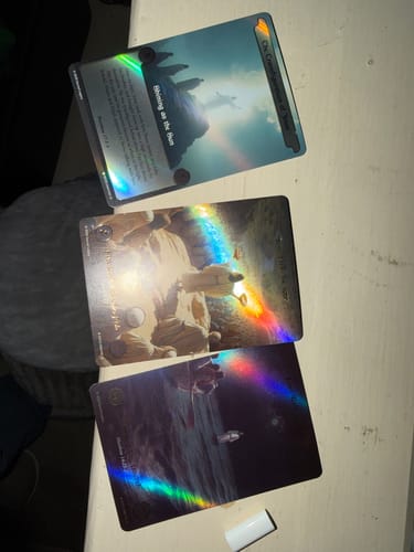 Customer photo review of Collector's Bundle