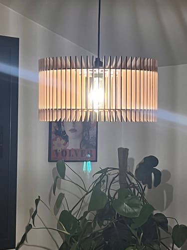 Customer photo review of Apollon | Suspension