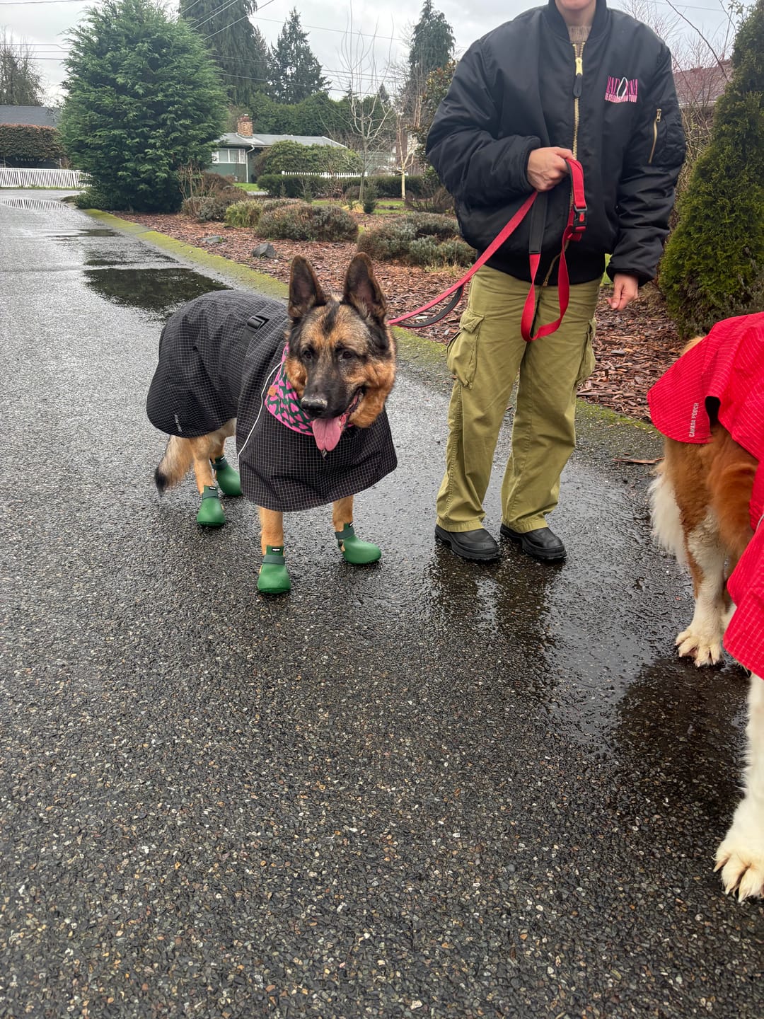 Customer photo review of WagWellies® by wagwear