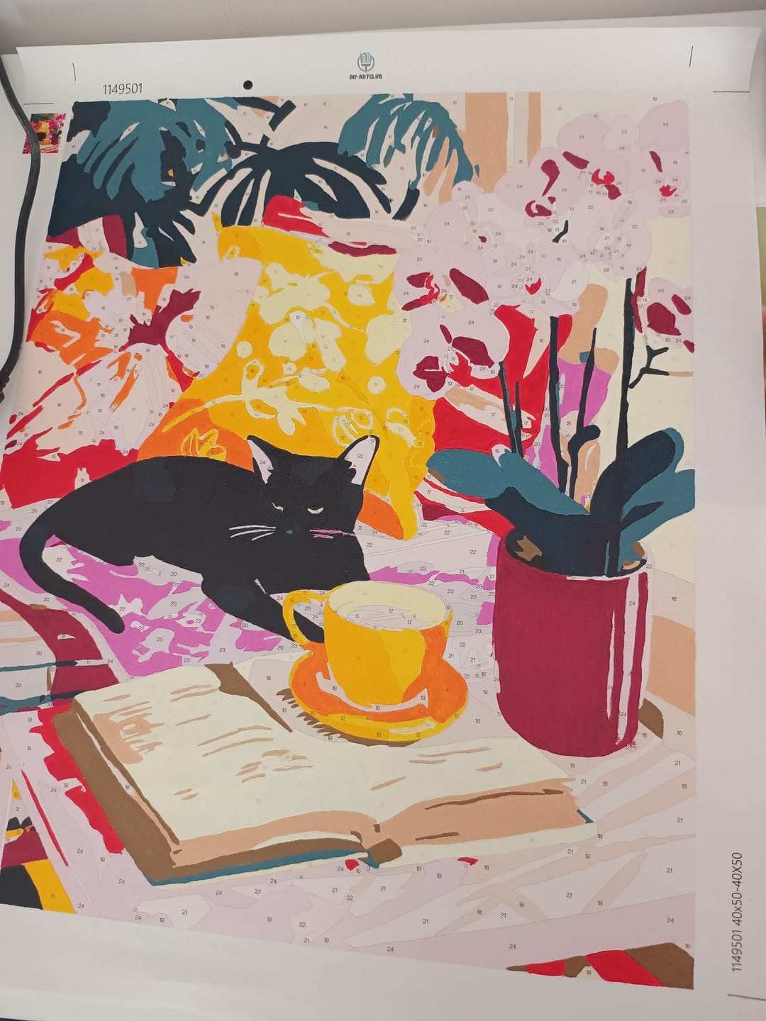 Customer photo review of A lazy day | Paint by Number