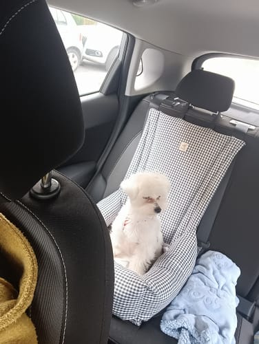 Customer photo review of Seggiolino Auto Cotone Vichy Grigio