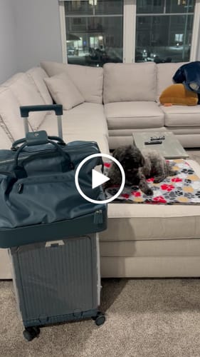 Customer video review of Carry-On: All-in-One