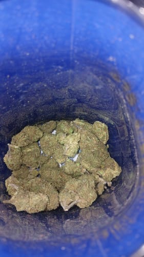 Customer photo review of Shipping Protection by Route