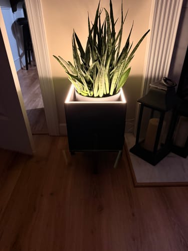 Customer photo review of Moderne | Large Square LED Planter