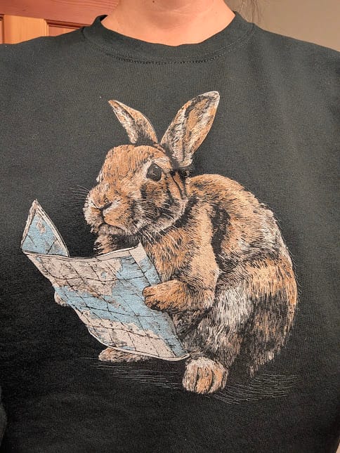 Κριτική με φωτογραφία πελάτη για το Sweatshirt Rabbit Navigator