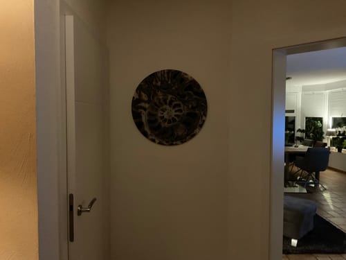 Customer photo review of Acrylglasbild | Muschel Fossil No. 3 | Rund