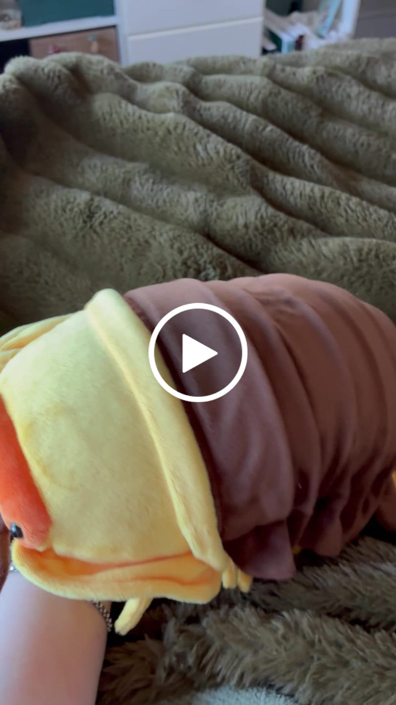 Customer video review of Rubber Ducky Isopod Soft Stuffed Plush Toy