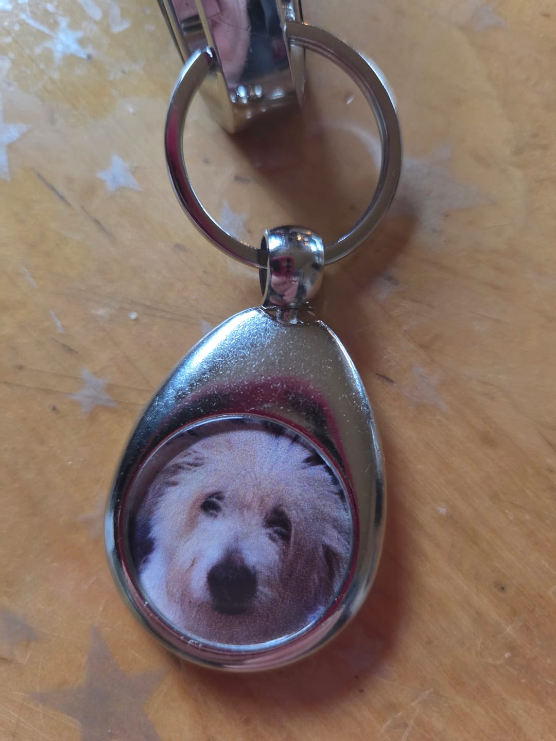 Customer photo review of Schlüsselanhänger mit Hundefoto