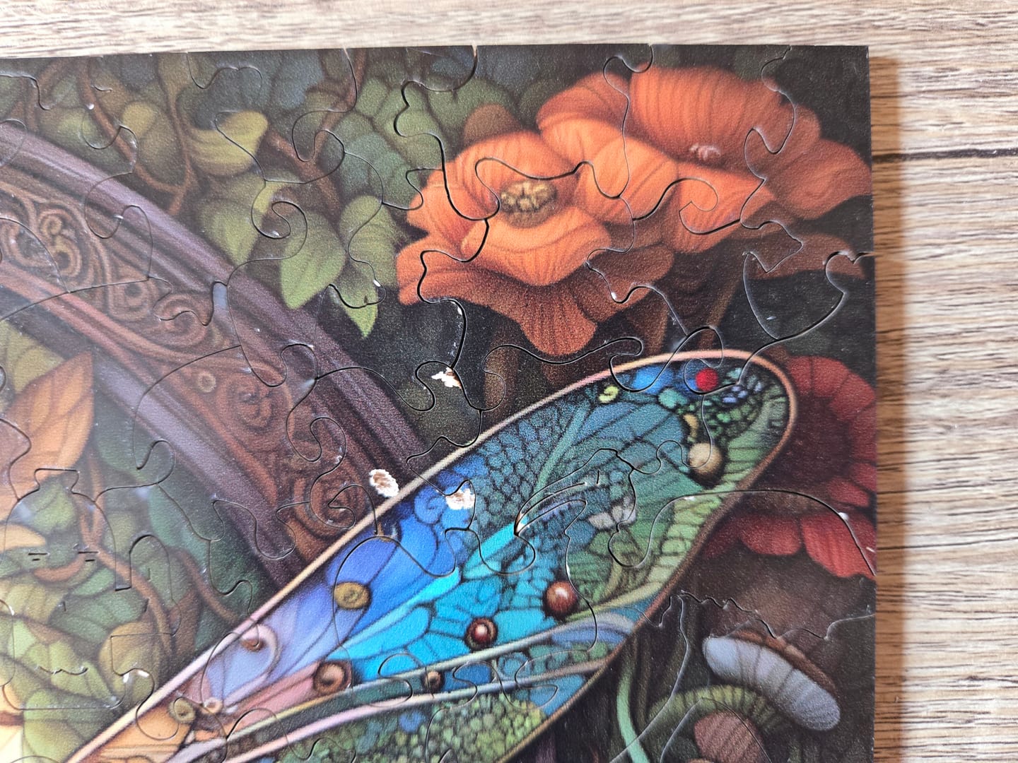 Customer photo review of Celtic Dragonfly - Wooden Jigsaw Puzzle