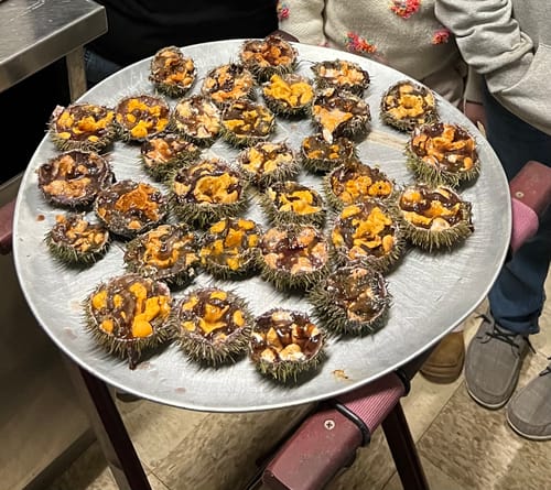 Customer photo review of Live Maine Urchin