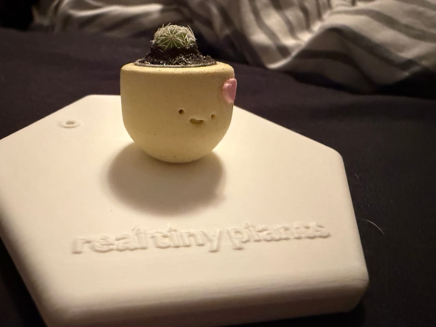 Customer photo review of LOL