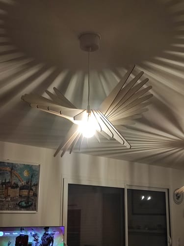 Customer photo review of Albatros | Suspension