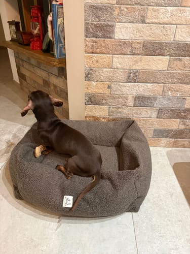 Customer photo review of Cover Divanetto Boucle Teddy Castagno