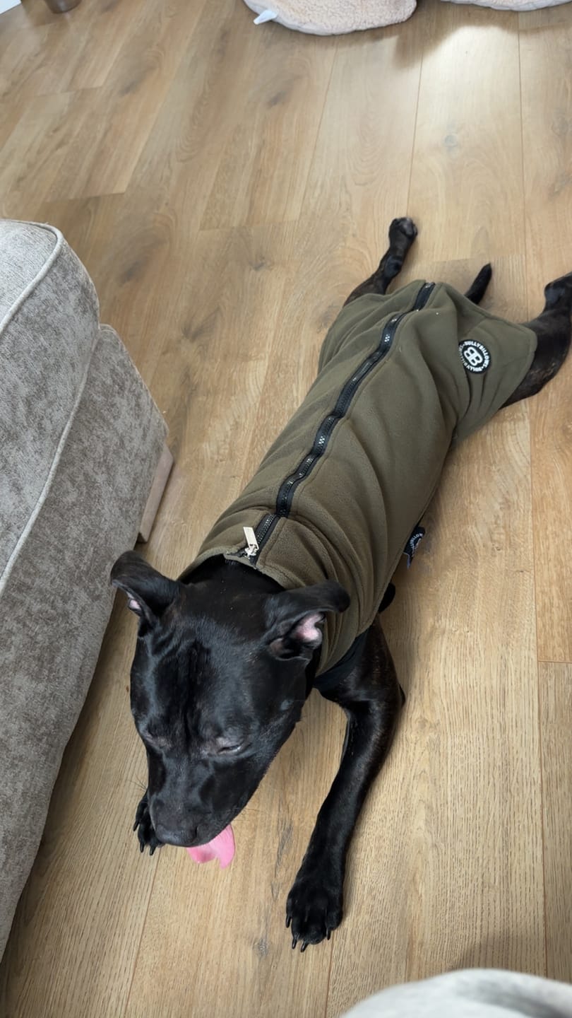 Customer photo review of Dog Fleece With Zip - Khaki