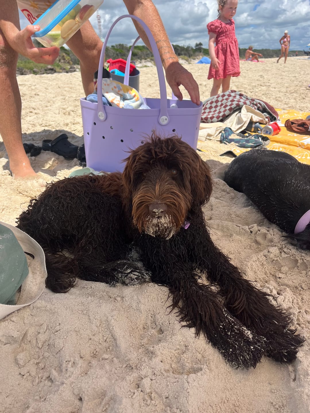 Customer photo review of Maxi Tribe Bag in Mermaid Purple