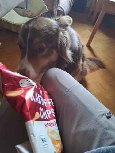 Customer photo review of Bio Kartoffelchips Paprika