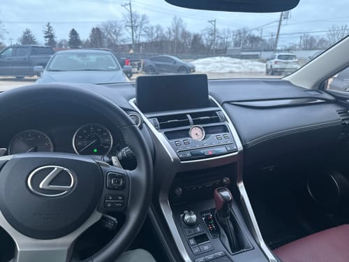 Customer photo review of RUBBIT Interior Boost