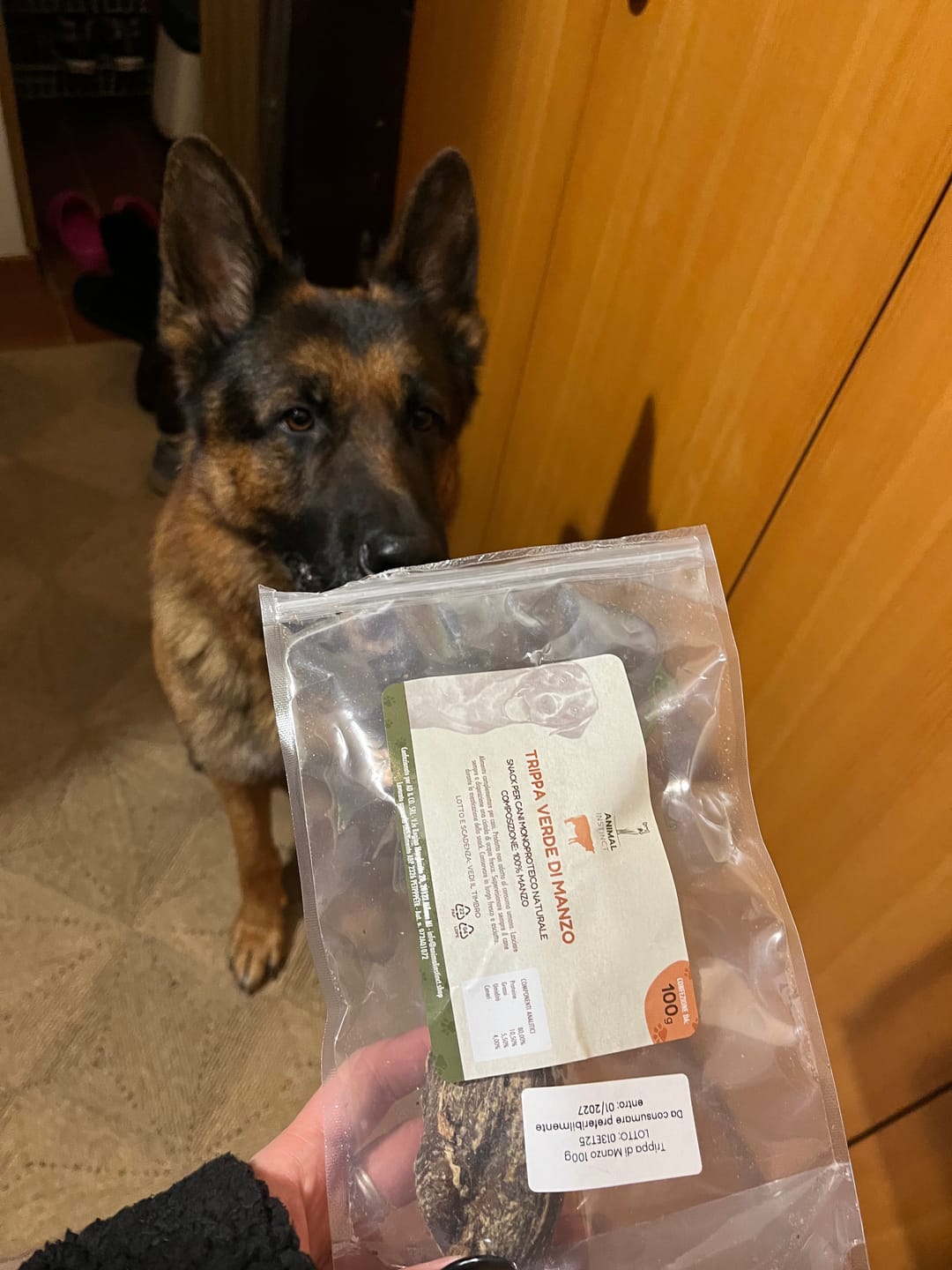 Customer photo review of Trippa Verde di Manzo (100 g)