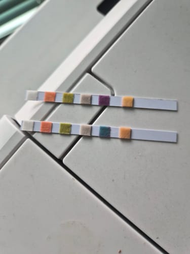 Customer photo review of Shower Water Softener System