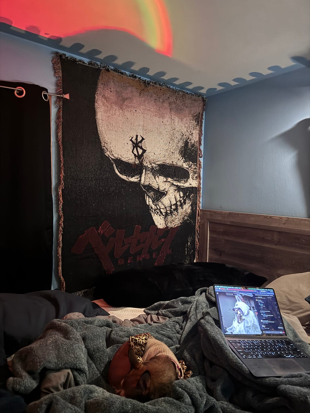 Customer photo review of Hero 10 Woven Blanket Tapestry