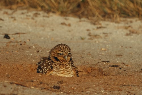 Customer photo review of 100 Extra Entries + 20 Raw Photos To Play With