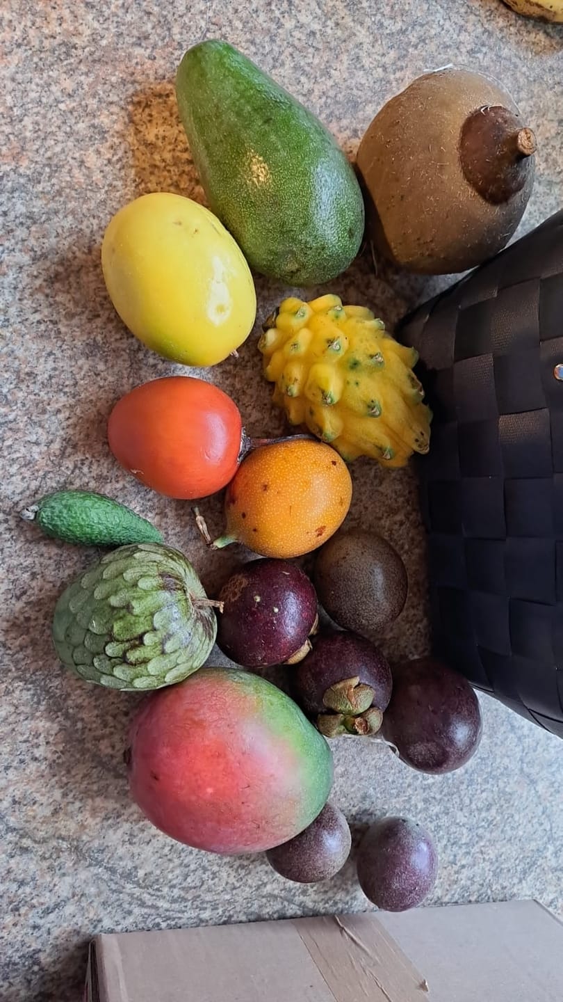 Customer photo review of Tropenreise Südamerika Box