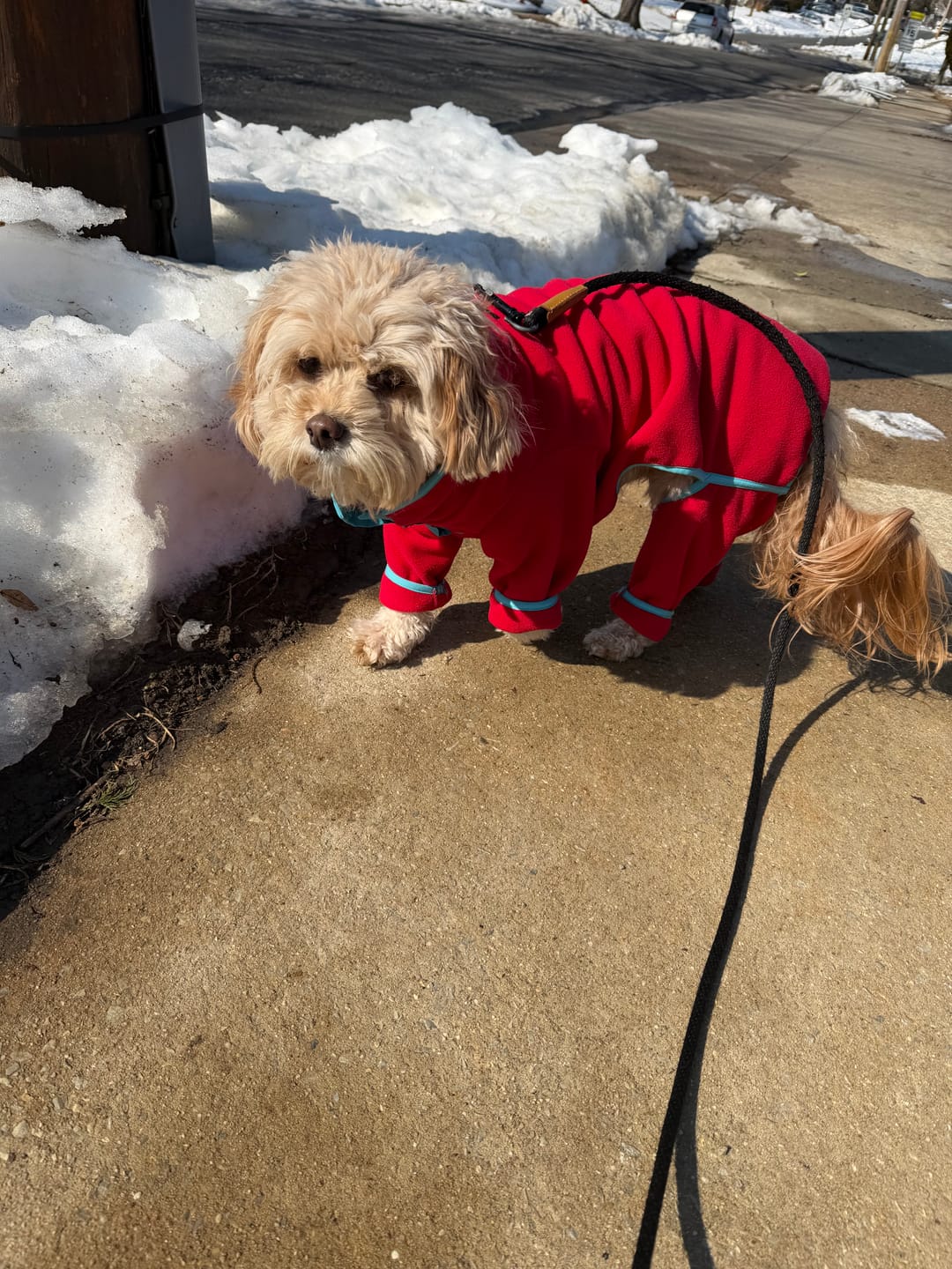 Customer photo review of NEW Fleece Pull-Over