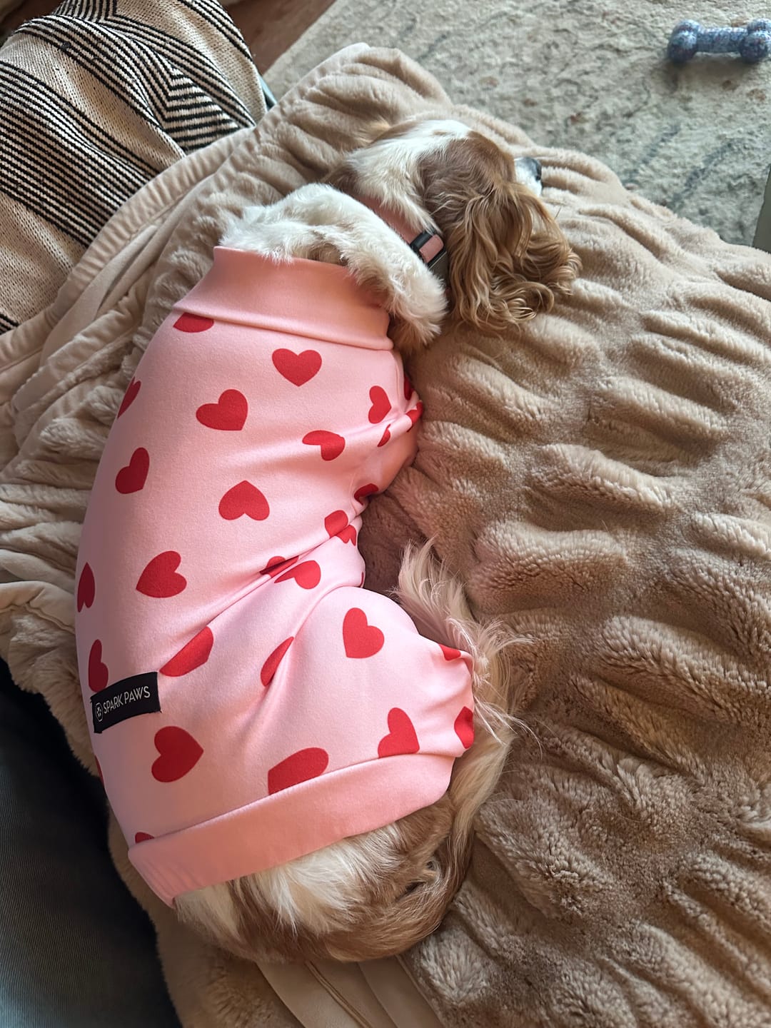 Customer photo review of Dog Pajama - Pink Hearts