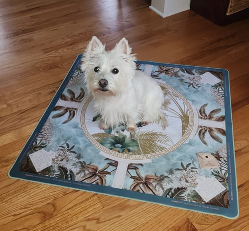Customer photo review of White Lotus Mat