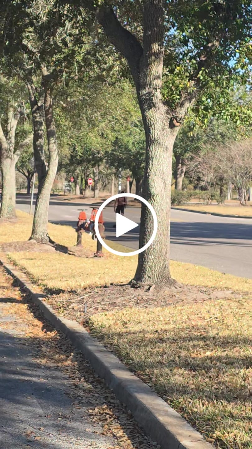 Customer video review of Acedeck® Nomad N1 Electric Skateboard