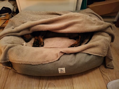 Customer photo review of Divanetto Mattias Verde chiaro (Soft Touch)