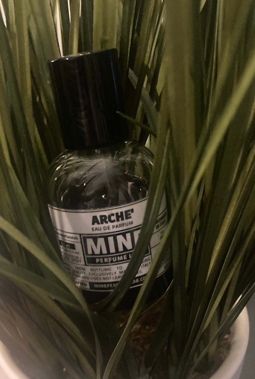 Customer photo review of ARCHÉ