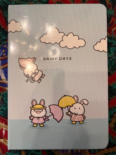 Customer's Rainy Days Journal showing the cute cover illustration of bunnies in the rain.