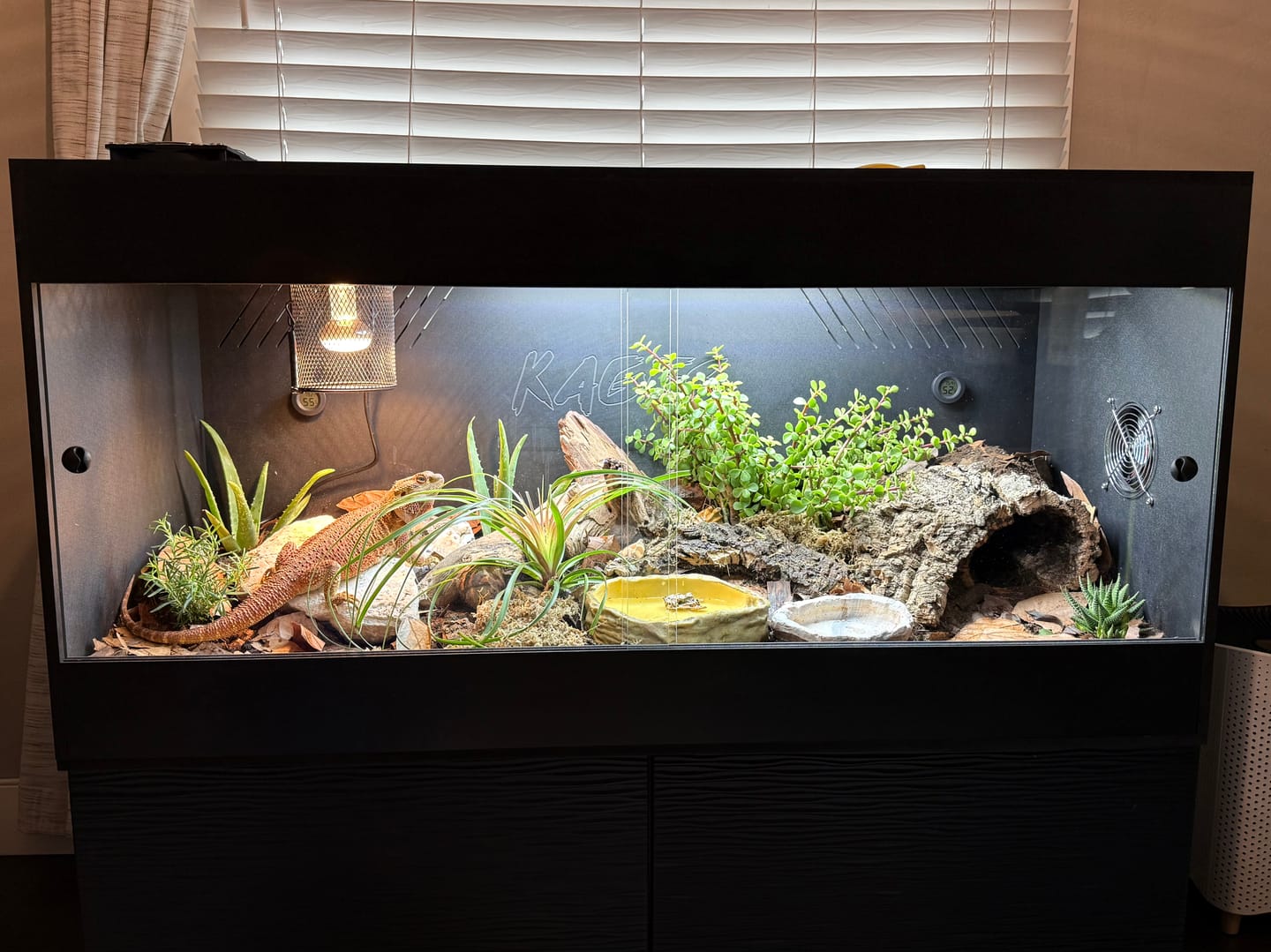 Customer photo review of 48"x24"x24" / 4'x2'x2' Premium PVC Reptile Enclosure