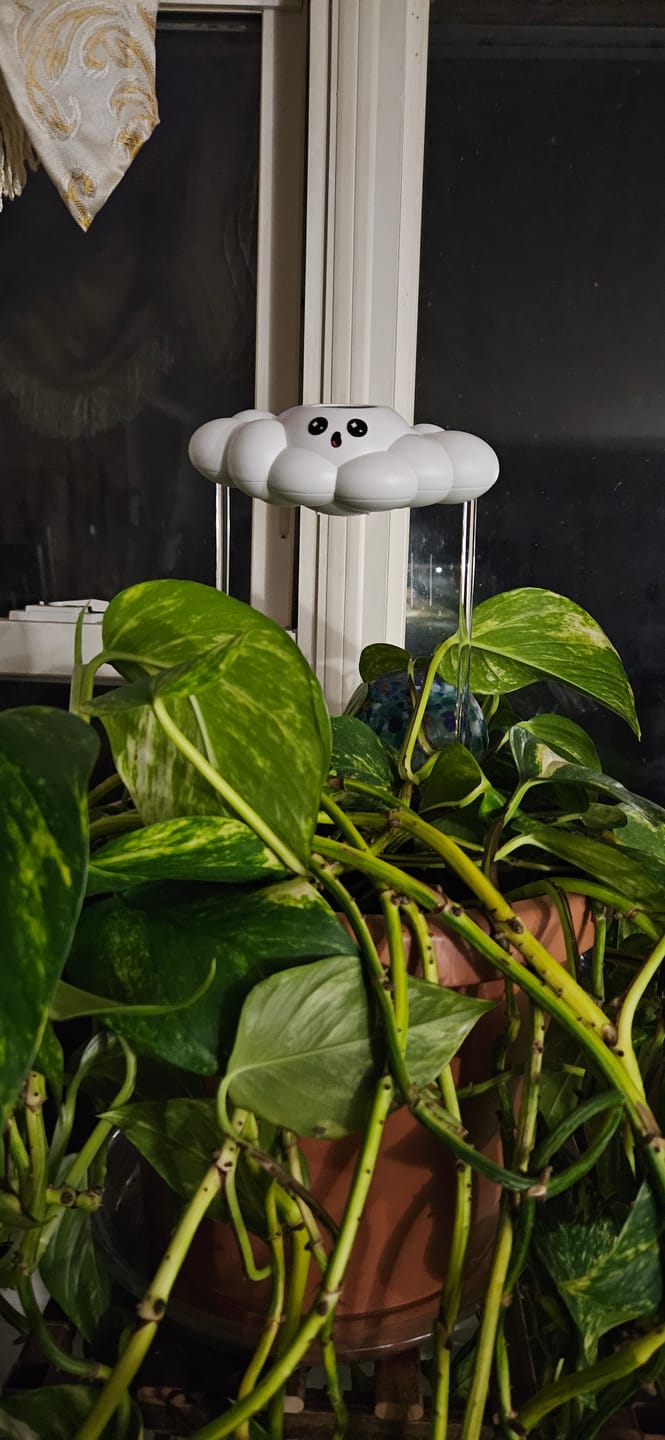 Customer photo review of Cosmo the Cloud