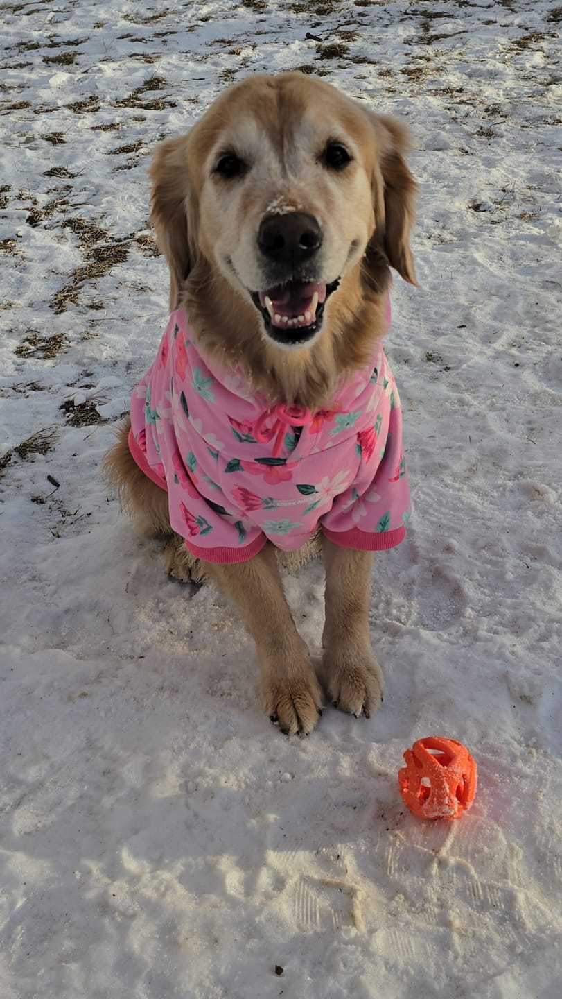 Customer photo review of Blossom Dog Hoodie - Pink