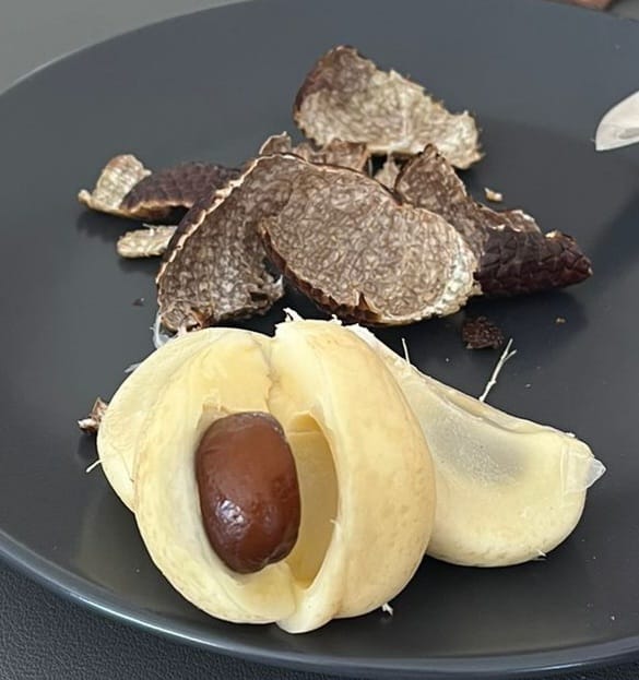Customer photo review of Salak (Schlangenfrucht) naturbelassen