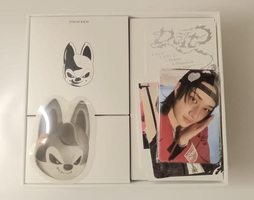 Reviewer's Stray Kids album showing the white packaging, SKZOO speaker, and a photocard of a member.