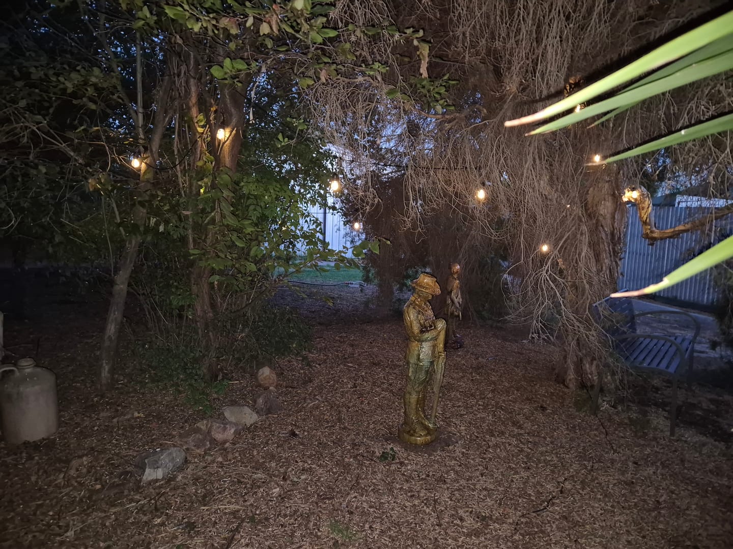 Customer photo review of Festoon Solar Lights (Series 2)