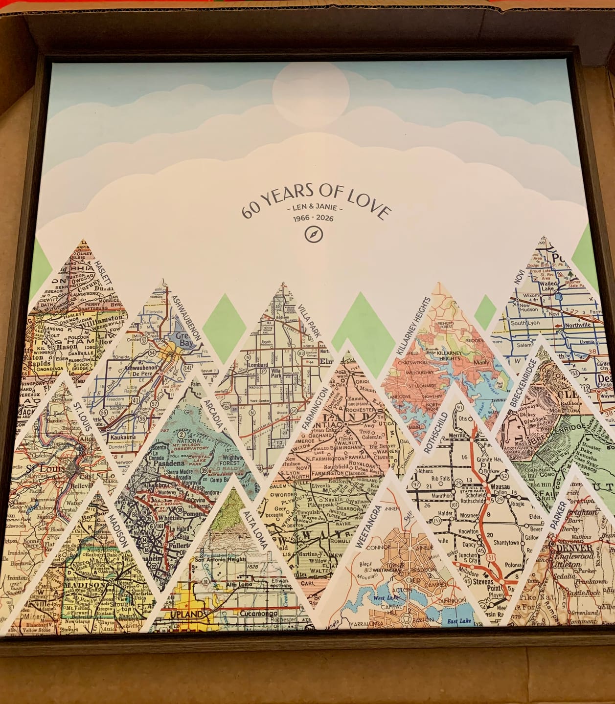 Customer photo review of Milestones Map [Digital Only]