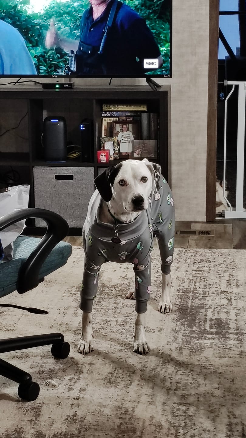 Customer photo review of Dog Pajama - Alien
