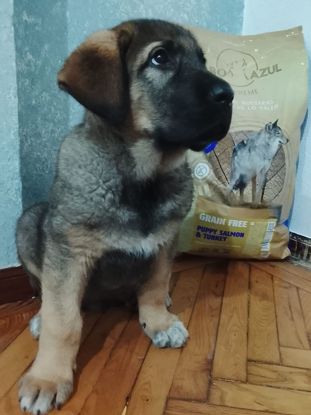 Customer photo review of Grain Free Puppy Salmon & Turkey