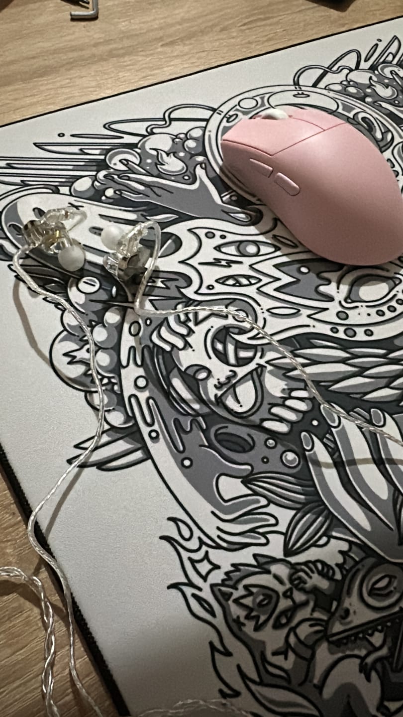 Customer photo review of Wraith Sense IEM Kulaklık