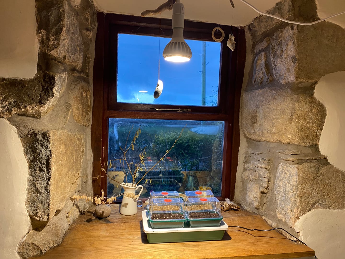 Customer photo review of Pianta Grow Light and Enna Plug-in Ceiling Pendant Bundle